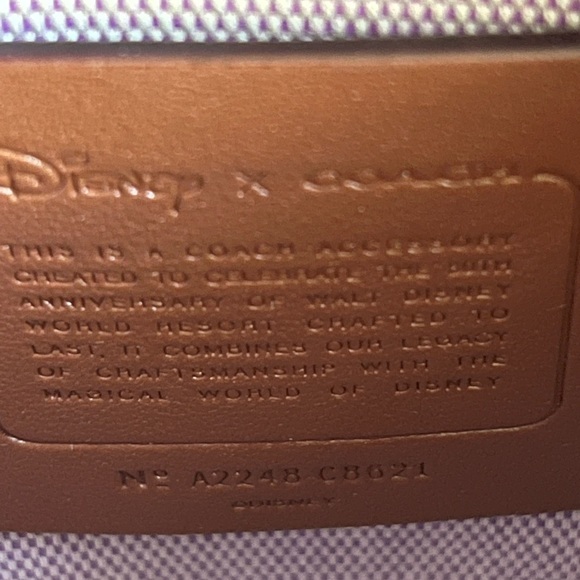 💰SOLD - C8621 - Coach X Disney Swinger 20 with Walt Disney World Motif - Picture 7 of 13